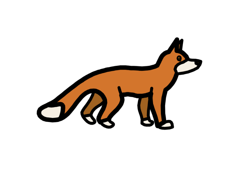 vulpes
